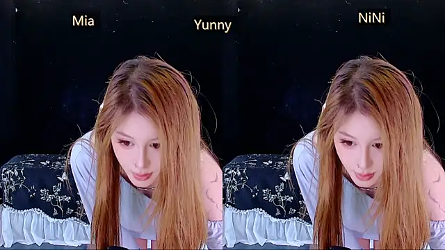Show Webcam de MiNi-U