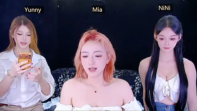 MiNi-U Show Webcam