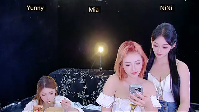 Show webcam de MiNi-U