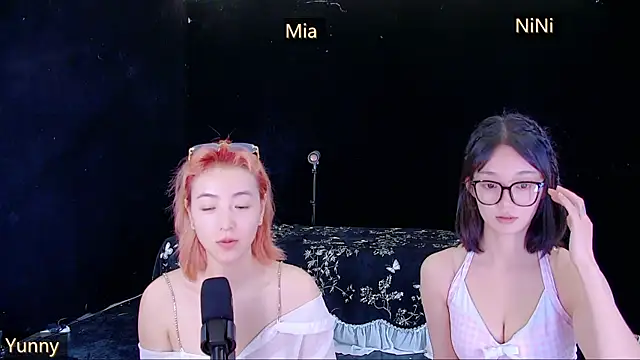 Show Webcam de MiNi-U
