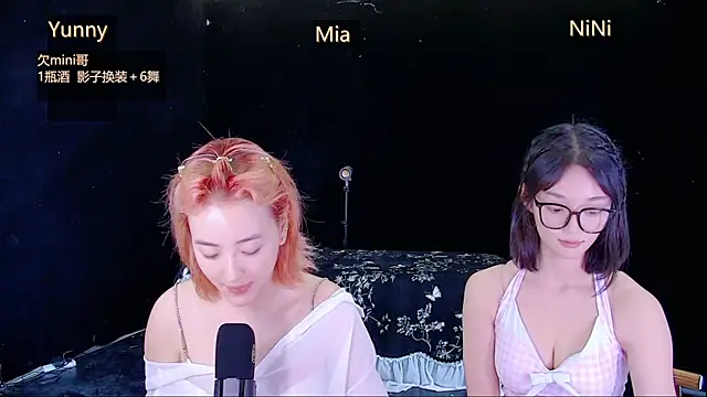 Show webcam de MiNi-U