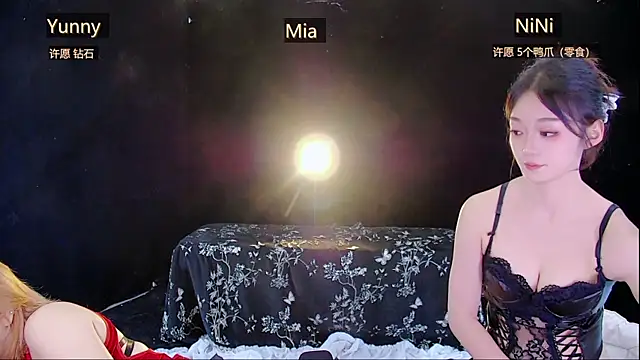 Show webcam de MiNi-U