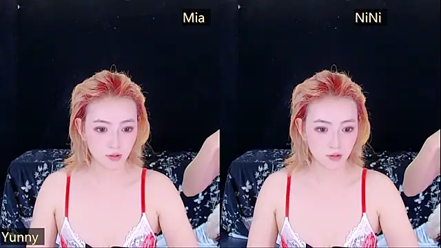 MiNi-U Show Webcam