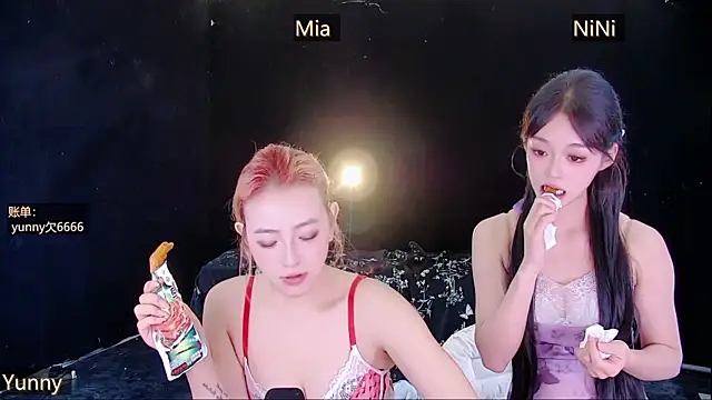 MiNi-U Show Webcam
