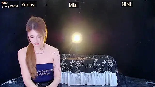 MiNi-U Show Webcam
