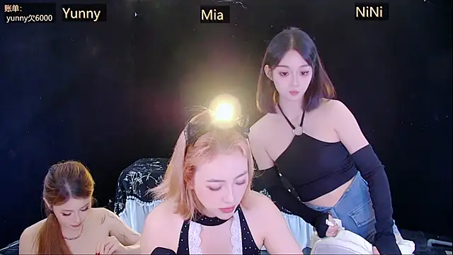 MiNi-U Show Webcam