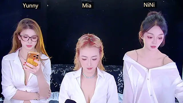 MiNi-U Show Webcam