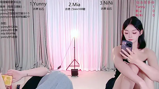 MiNi-U Show Webcam