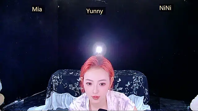 MiNi-U Show Webcam
