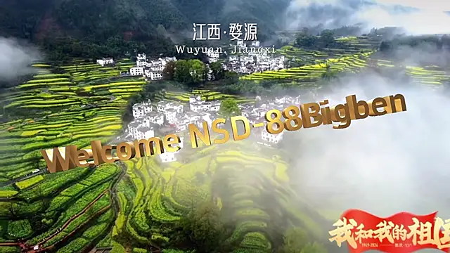 NSD-88 网络视讯表演