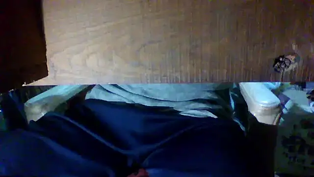 Show webcam de 5izeBoya