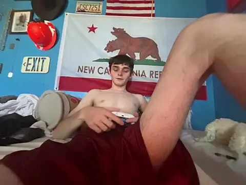Show Webcam de Limy_