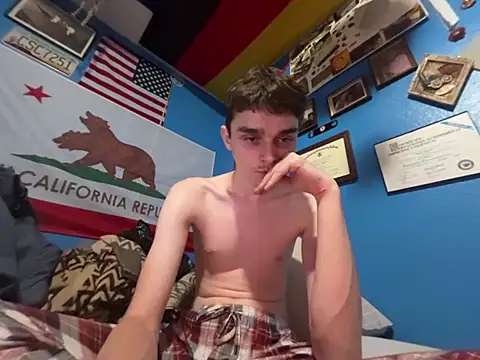 Limy_ Show in webcam