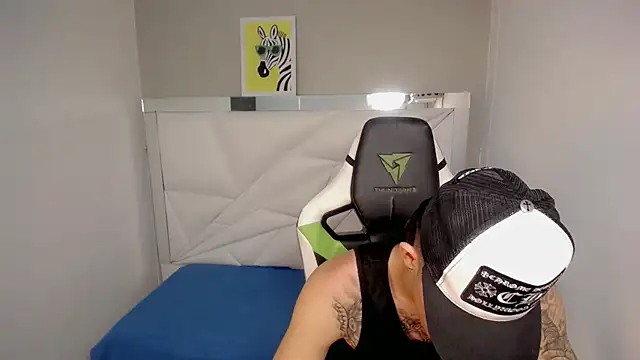 Delaware_n Webbikameraesitys