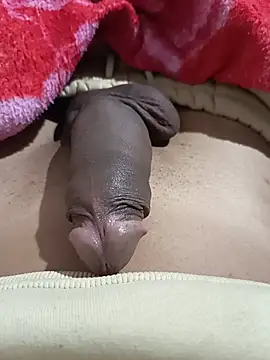 miinipika69 webcam show