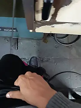 Živý XXX chat Mineirinho20cm
