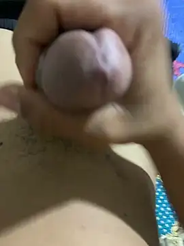 ztlan1 Show Webcam