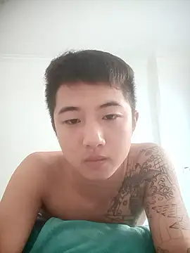 Show Webcam de cyj860