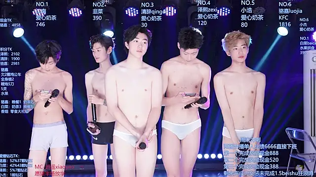 Show webcam de AOA-ACA