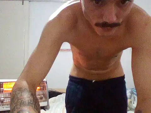 BrunoLive03 webcam show