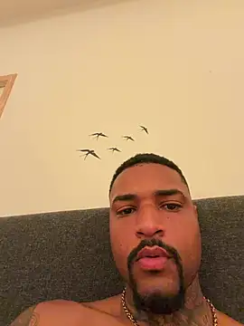 Show webcam de THEUS22