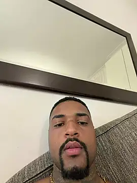 Show webcam de THEUS22