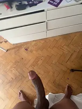 THEUS22n Webbikameraesitys