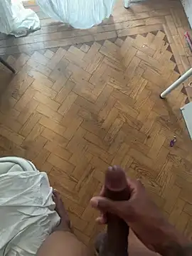 Pokazy przed kamerką – THEUS22