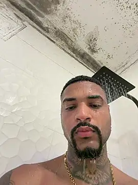 Show webcam de THEUS22