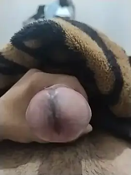 Show modela Tayler_2026 na web-kameri