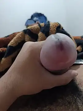 Show Webcam de Tayler_2026
