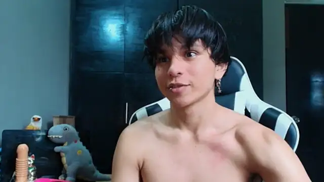Show webcam de raikougame