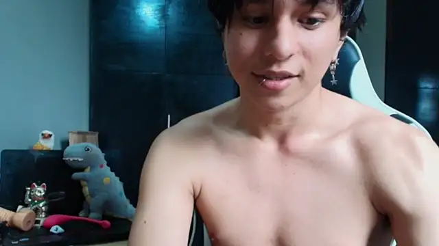Webkamerová show raikougame