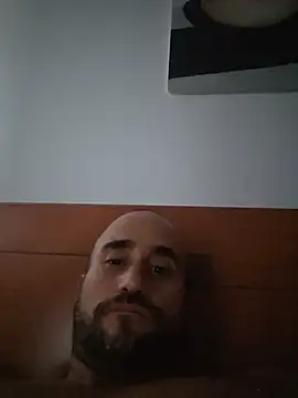 dvs9111 Show in webcam