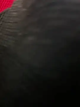 DuoBitches_ Show Webcam