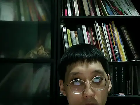 Lv8763 Webcam-Show