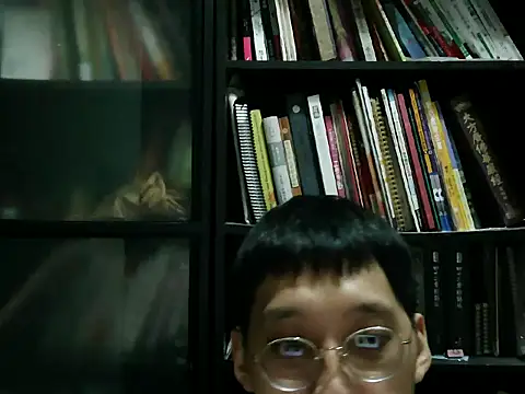 Lv8763 Show Webcam