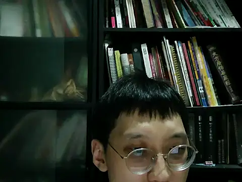 Show webcam de Lv8763