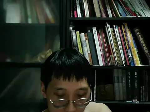 Lv8763 Show Webcam