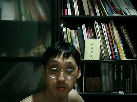 Lv8763 网络视讯表演