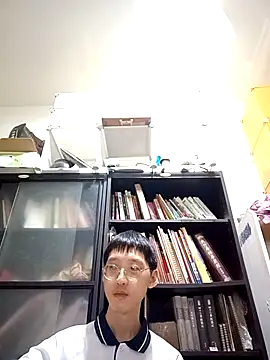 Lv8763's Webcam Show