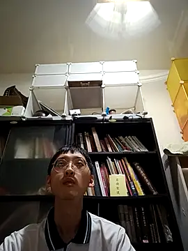 Lv8763 Pertunjukan Webcam