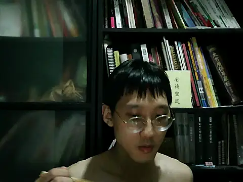 Show de webcam de Lv8763