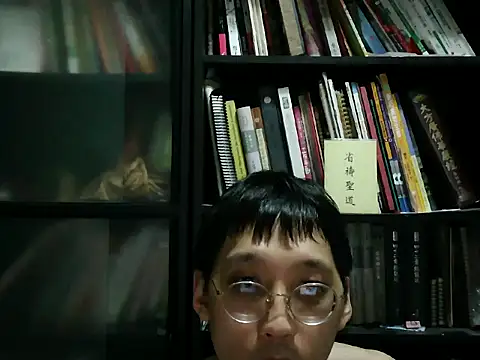 Show webcam de Lv8763