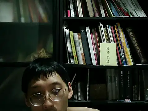 Lv8763 Pertunjukan Webcam