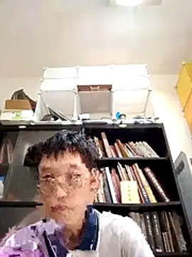 Lv8763 网络视讯表演