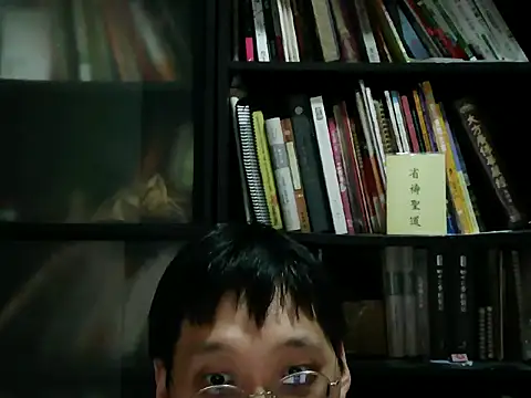 Lv8763 Show Webcam