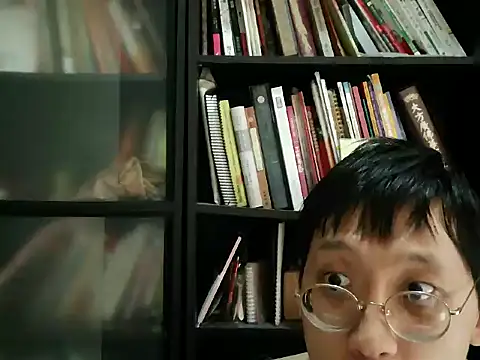 Show Webcam de Lv8763