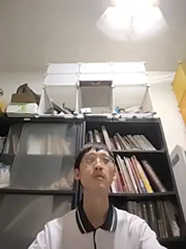 Lv8763 Show Webcam