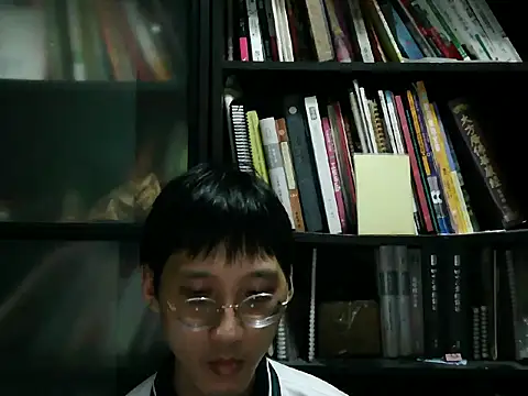 Show de webcam de Lv8763